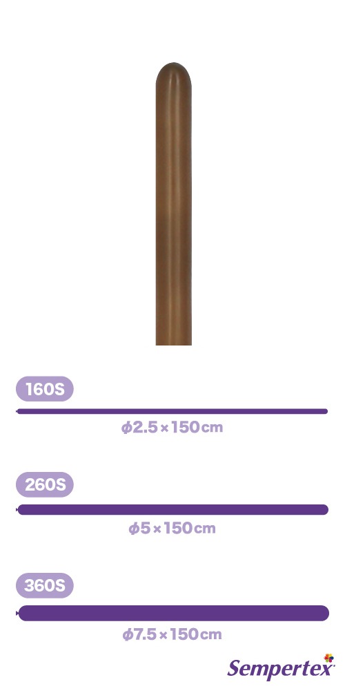 SM160S �ե��å���� �����ҡ� SEM10181