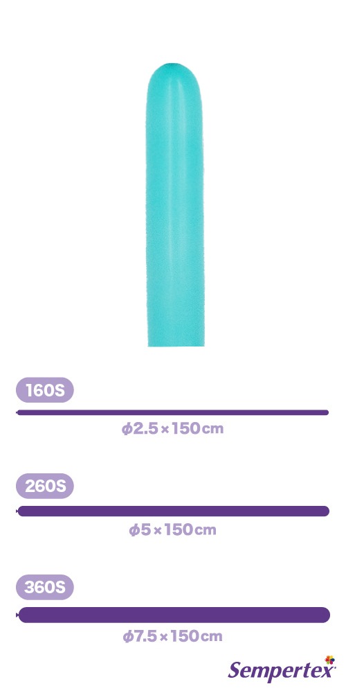 SM260S �ե��å���� �������ޥ�� SEM12410