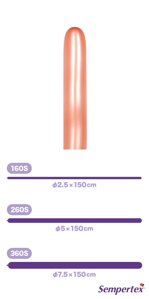 SM260S �᥿��å� ������������� SEM12434