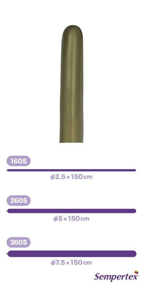 SM260S ��ե�å��� ������� SEM17001