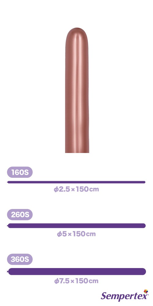 SM260S ��ե�å��� ������������� SEM17003