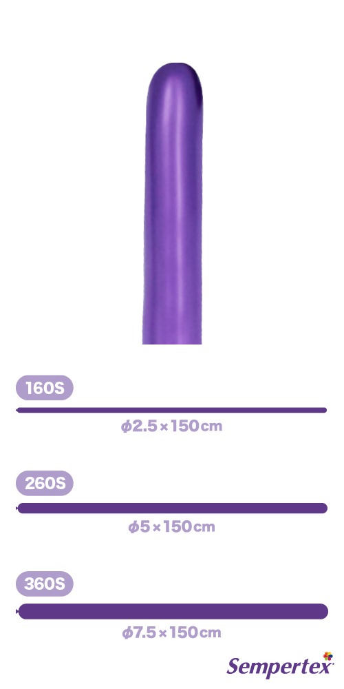 SM260S ��ե�å��� �Х�����å� SEM17009