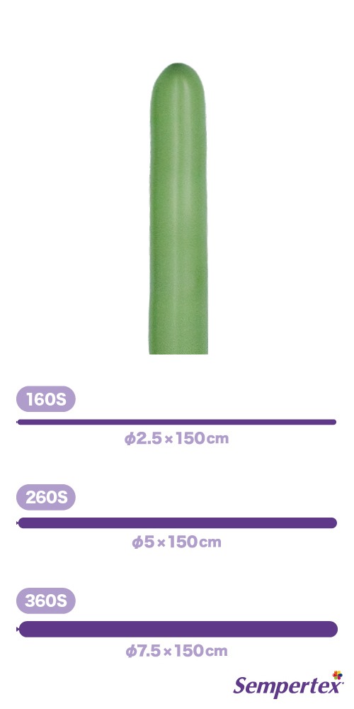 SM260S �ե��å���� �桼���� SEM17384