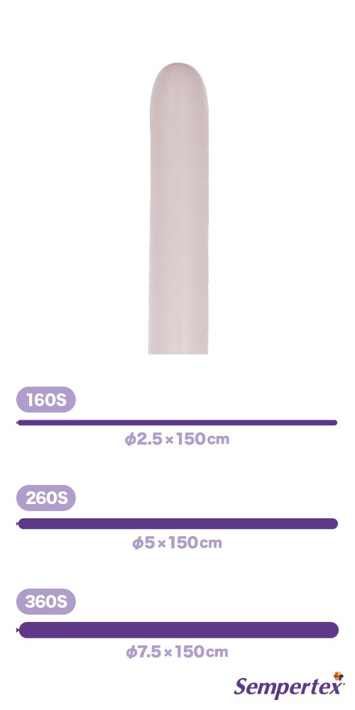 SM260S �ѥ��ƥ������ ������ SEM39536