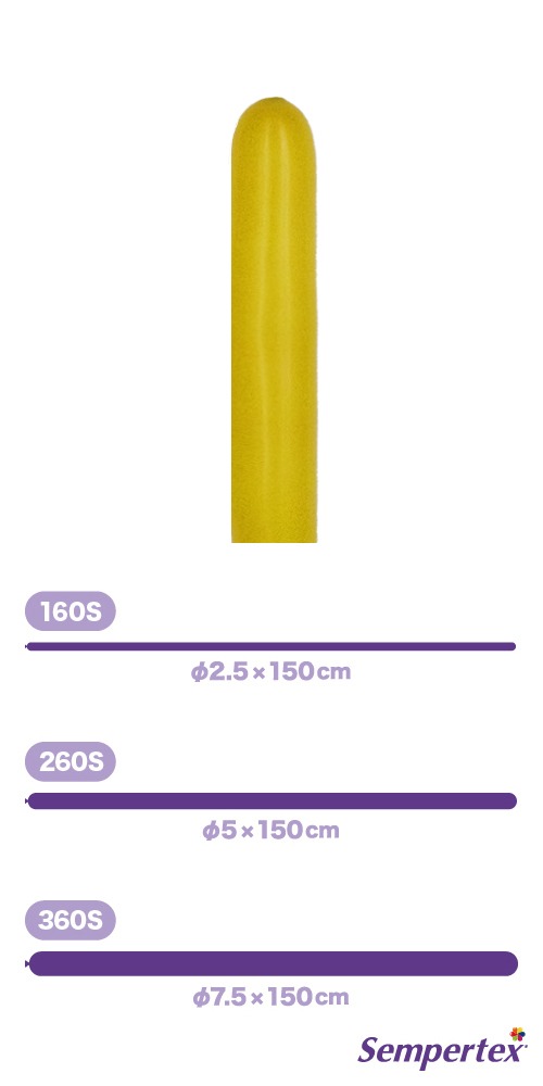 SM260S �ե��å���� �ޥ������� SEM40006