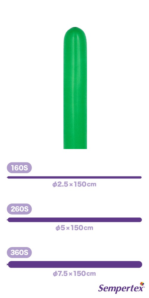 SM260S �ե��å���� �������å����꡼�� SEM40435