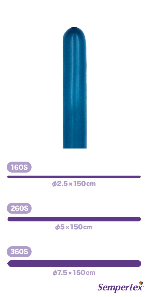 SM260S �ե��å���� �ǥ����ץƥ����� SEM40473