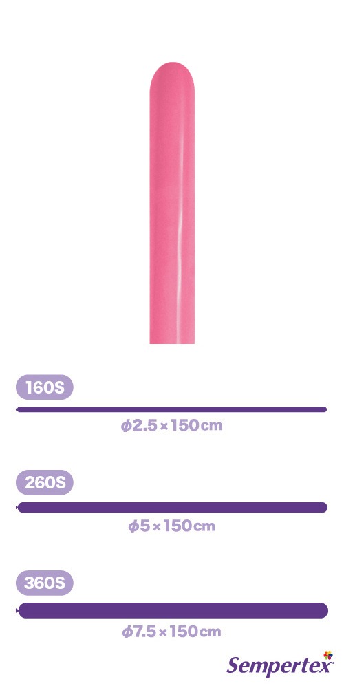 SM260S �ե��å���� ������ SEM41659