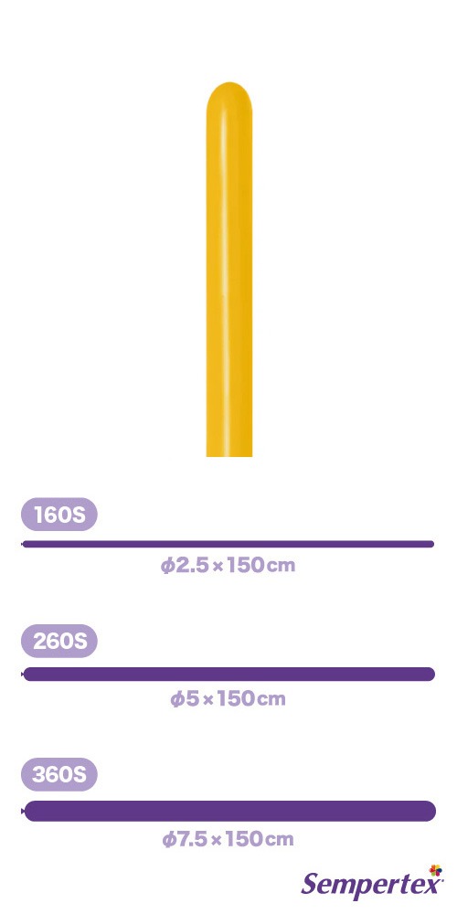 SM160S �ե��å���� �ϥˡ��������� SEM41912