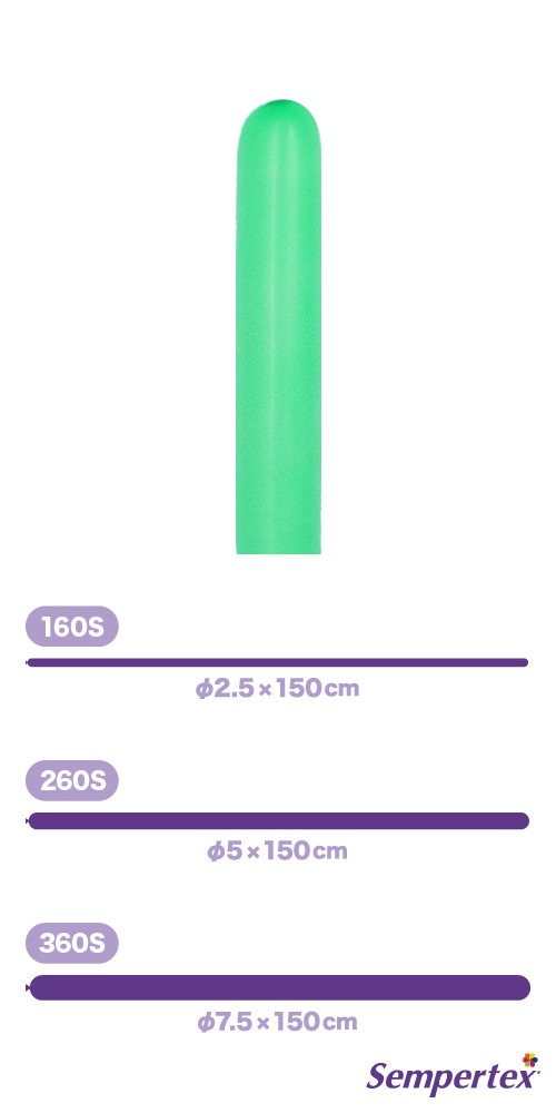 SM260S �ե��å���� ���꡼�� SEM80047