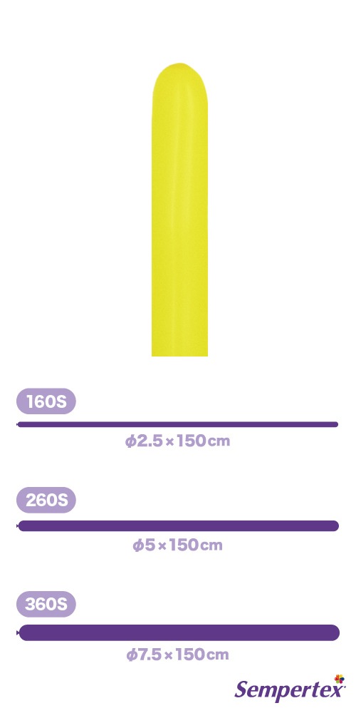 SM260S �ե��å���� �������� SEM80057