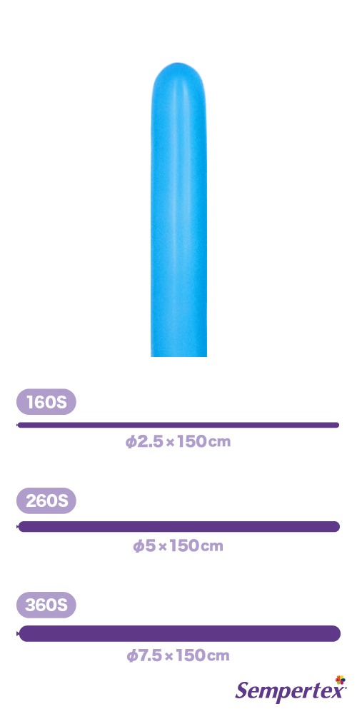 SM260S �ե��å���� �֥롼 SEM80067