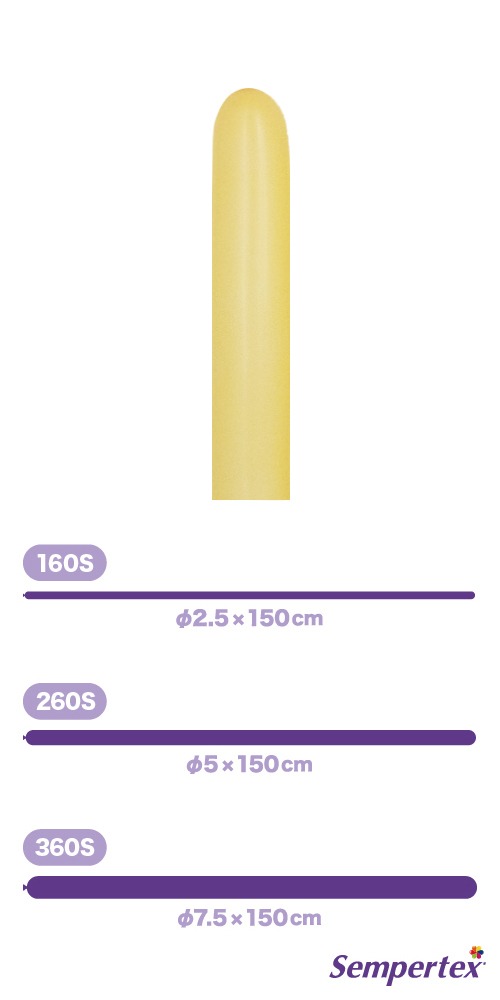 SM260S �ե��å���� �ԡ����֥�å��� SEM80087