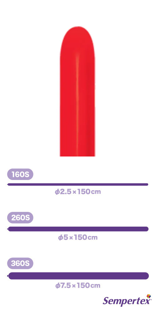 SM260S �ե��å���� ��å� SEM80127