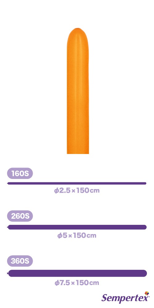 SM260S �ե��å���� ����� SEM80137