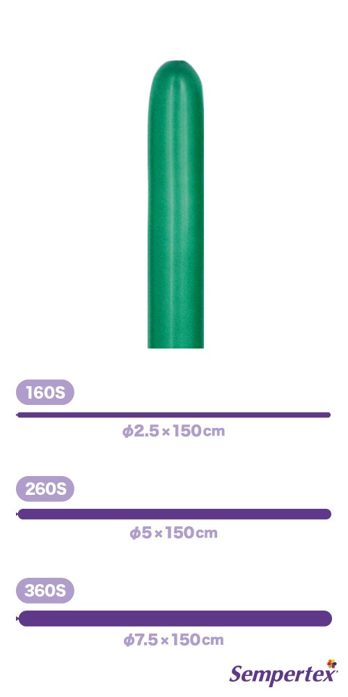 SM260S �ե��å���� �ե��쥹�ȥ��꡼�� SEM80247