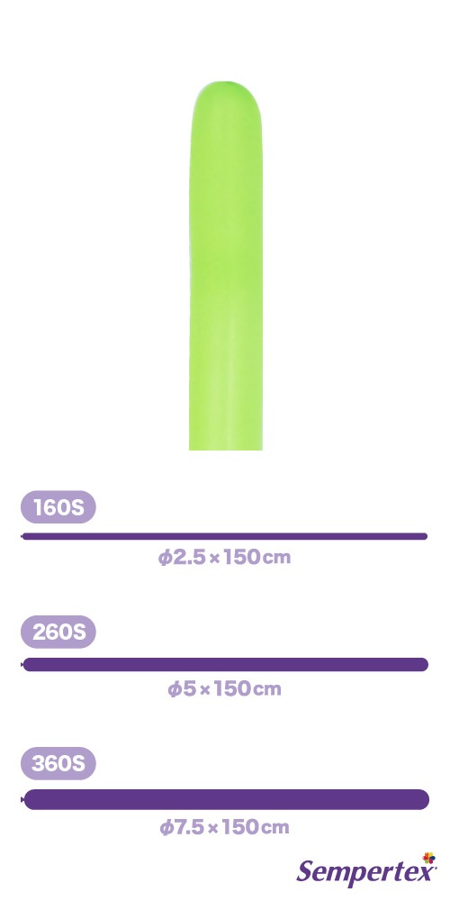 SM260S �ͥ��� ���꡼�� SEM80527