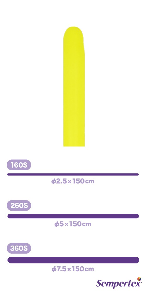 SM260S �ͥ��� �������� SEM80537