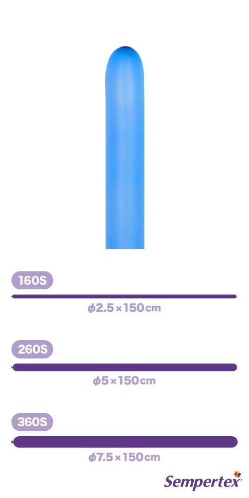 SM260S �ͥ��� �֥롼 SEM80547