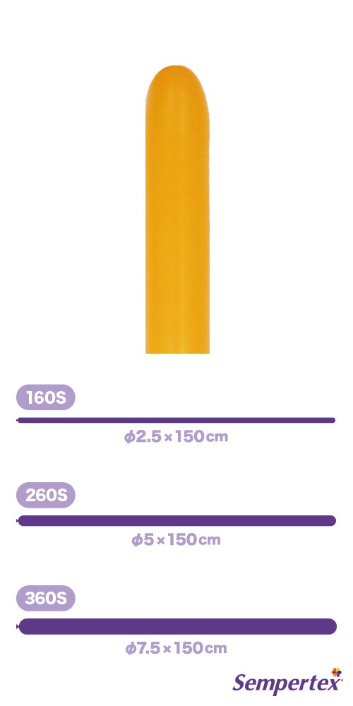 SM260S �ͥ��� ����� SEM80557