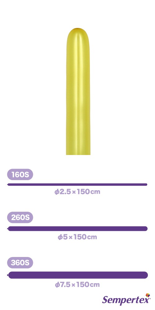 SM260S �᥿��å� ������� SEM80827