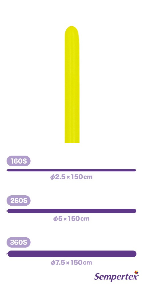 SM160S �ե��å���� �������� SEM91057