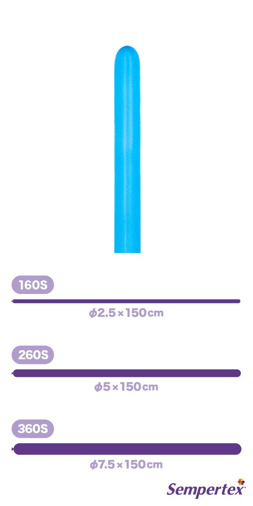 SM160S �ե��å���� �֥롼 SEM91067