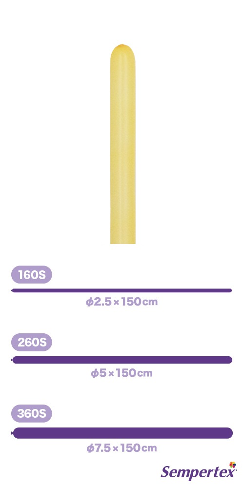 SM160S �ե��å���� �ԡ����֥�å��� SEM91087