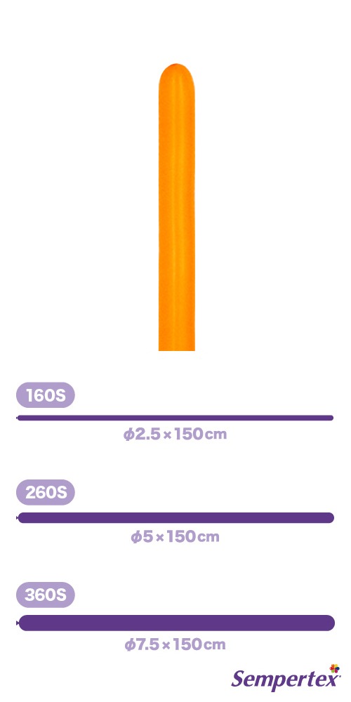 SM160S �ե��å���� ����� SEM91137