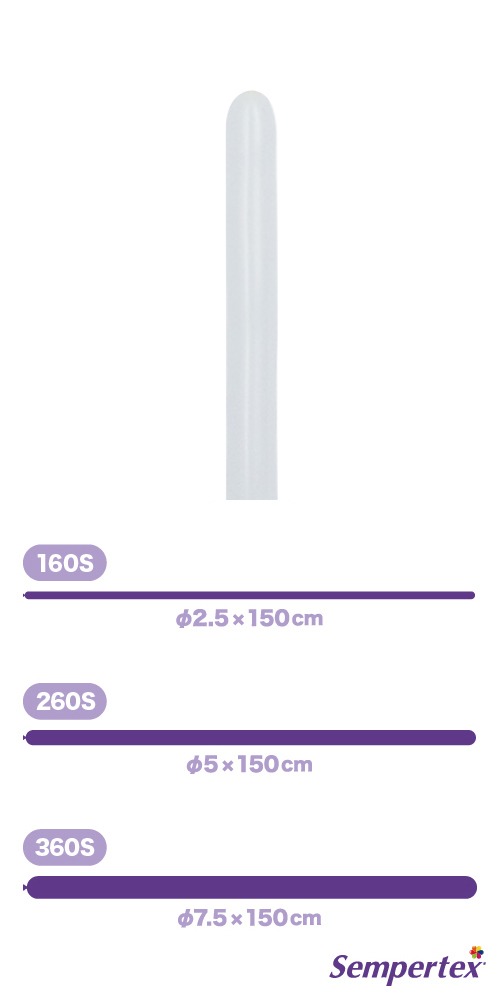 SM160S ���ƥ� �ۥ磻�� SEM91615