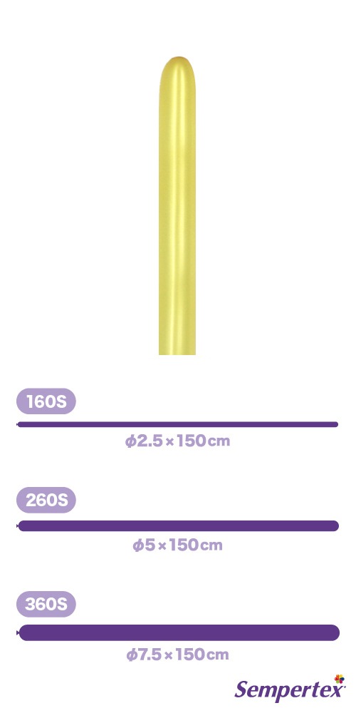 SM160S �᥿��å� ������� SEM91827