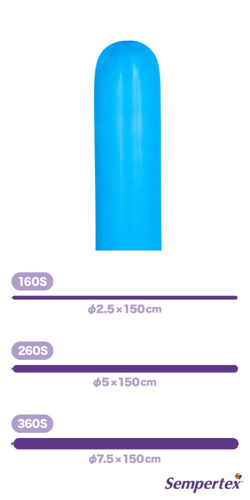 SM360S �ե��å���� �֥롼 SEM92067