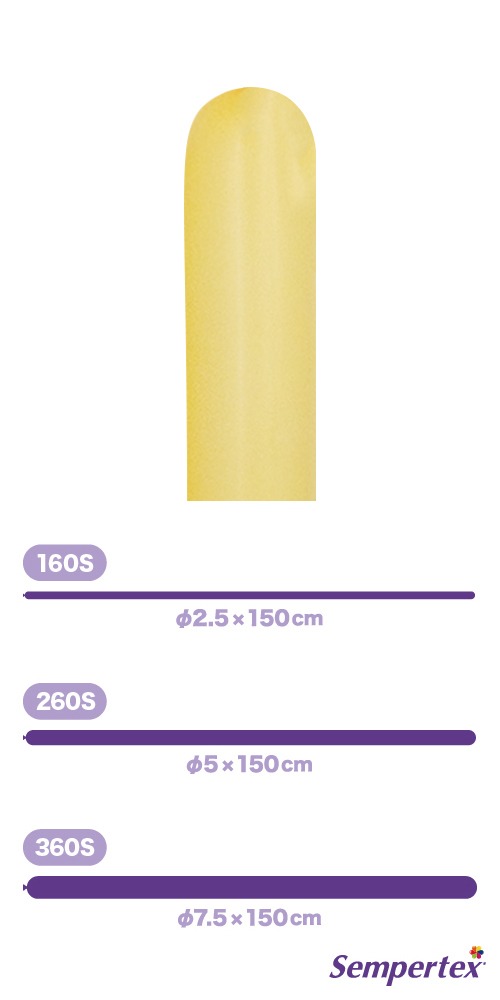 SM360S �ե��å���� �ԡ����֥�å��� SEM92087