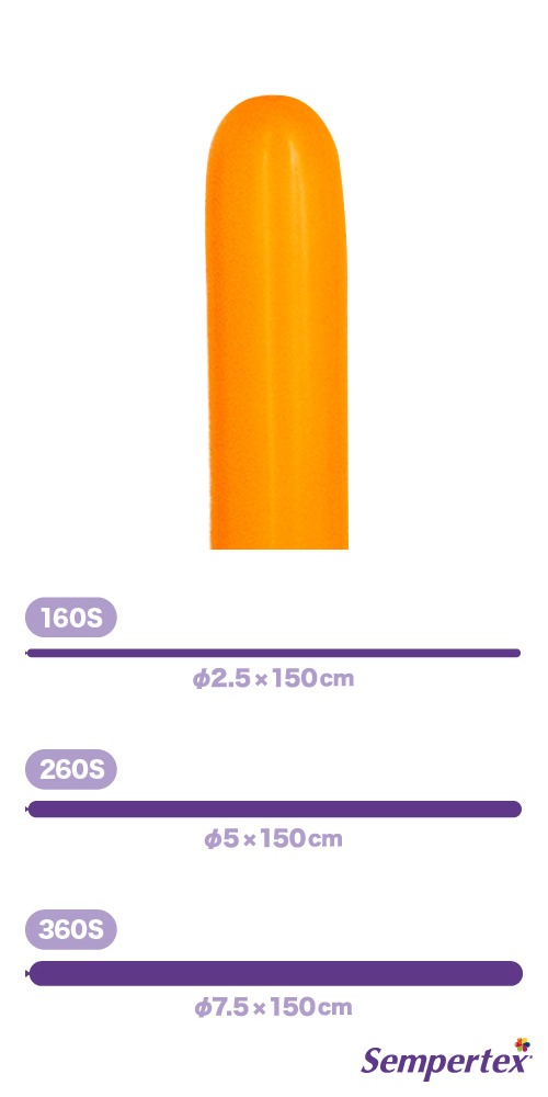 SM360S �ե��å���� ����� SEM92137