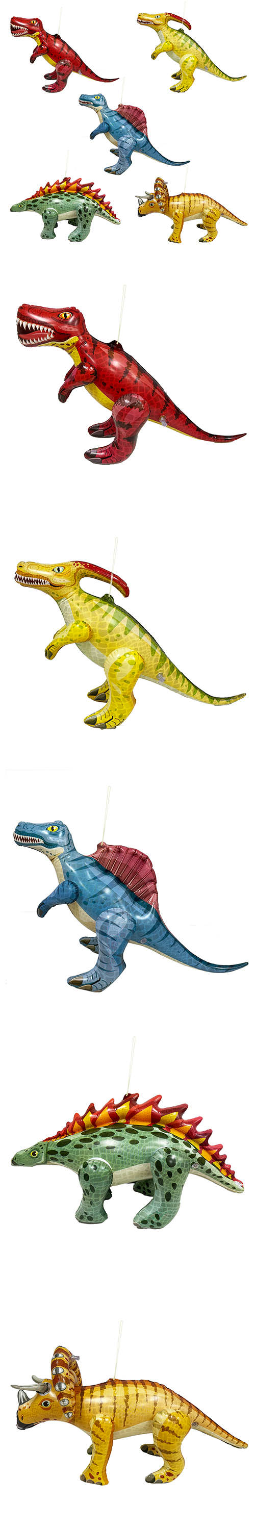 ��������ε������TOPVN50411