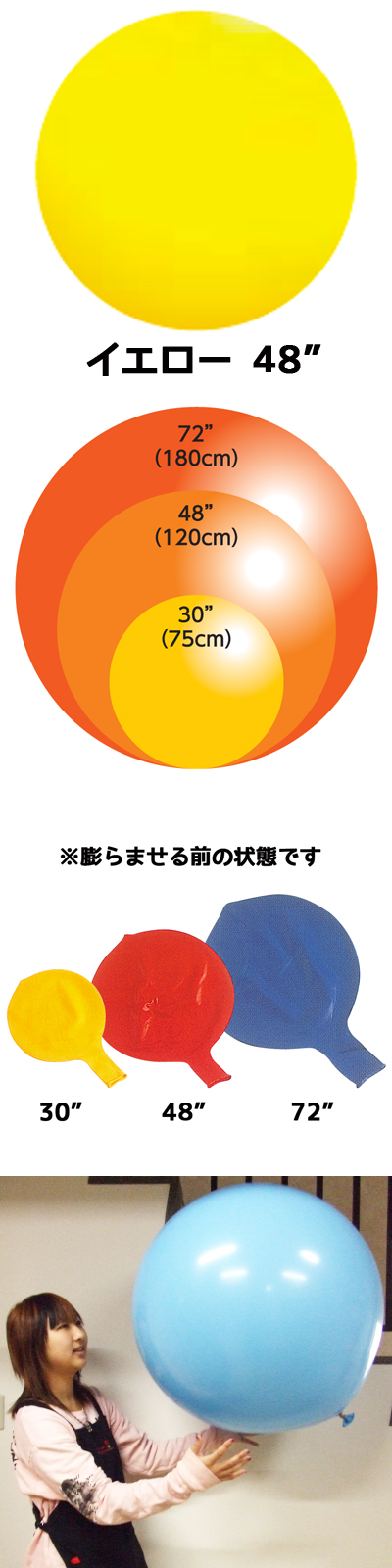 48�ɥ��㥤����ȥХ롼�� �������� ��1���EBT48002