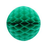 ��������ݥ���� 20cm�ϥ˥���ܡ��� ���꡼��ʣ���2�����ˡ�EXPEV09934