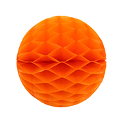 ��������ݥ���� 20cm�ϥ˥���ܡ��� ����󥸡ʣ���2�����ˡ�EXPEV09935