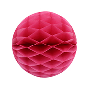 ��������ݥ���� 20cm�ϥ˥���ܡ��� �������ʣ���2�����ˡ�EXPEV09948