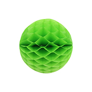 ��������ݥ���� 15cm�ϥ˥���ܡ��� �饤�॰�꡼��ʣ���2�����ˡ�EXPEV09950