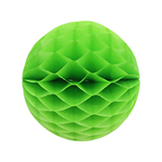 ��������ݥ���� 20cm�ϥ˥���ܡ��� �饤�॰�꡼��ʣ���2�����ˡ�EXPEV09951