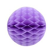 ��������ݥ���� 20cm�ϥ˥���ܡ��� ��٥�����ʣ���2�����ˡ�EXPEV09962