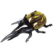 إ饯쥹եȡIGRVN35032