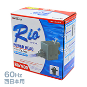 ήݥRio800(60Hz)϶ 1ELSNS94013